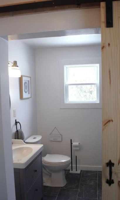 Private Cottage With Huge Private Dog Park! Barrys Bay Luaran gambar